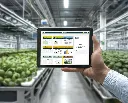 Tablet in greenhouse.webp