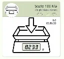 Scale-Monitoring-crisp.webp