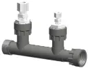 Sensor Probe Manifolds - 1"