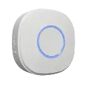 Shelly Button 1 White