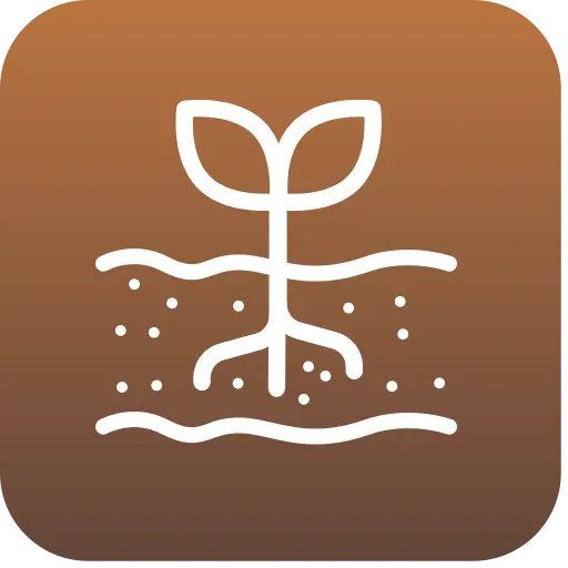 Substrate Application 