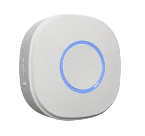 [Shelly Button 1 White] Shelly Button 1 White